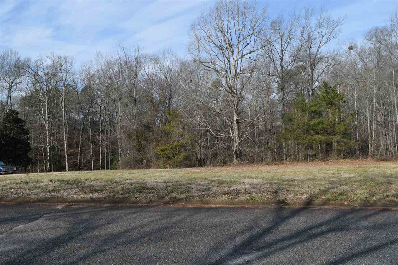 426 Tangleridge Court Inman, SC 29349 - Photo 2 of 8