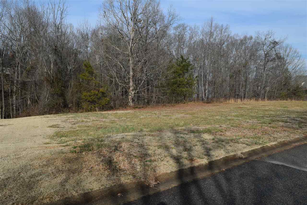 426 Tangleridge Court Inman, SC 29349 - Photo 3 of 8