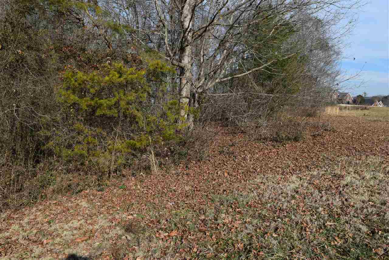 426 Tangleridge Court Inman, SC 29349 - Photo 4 of 8