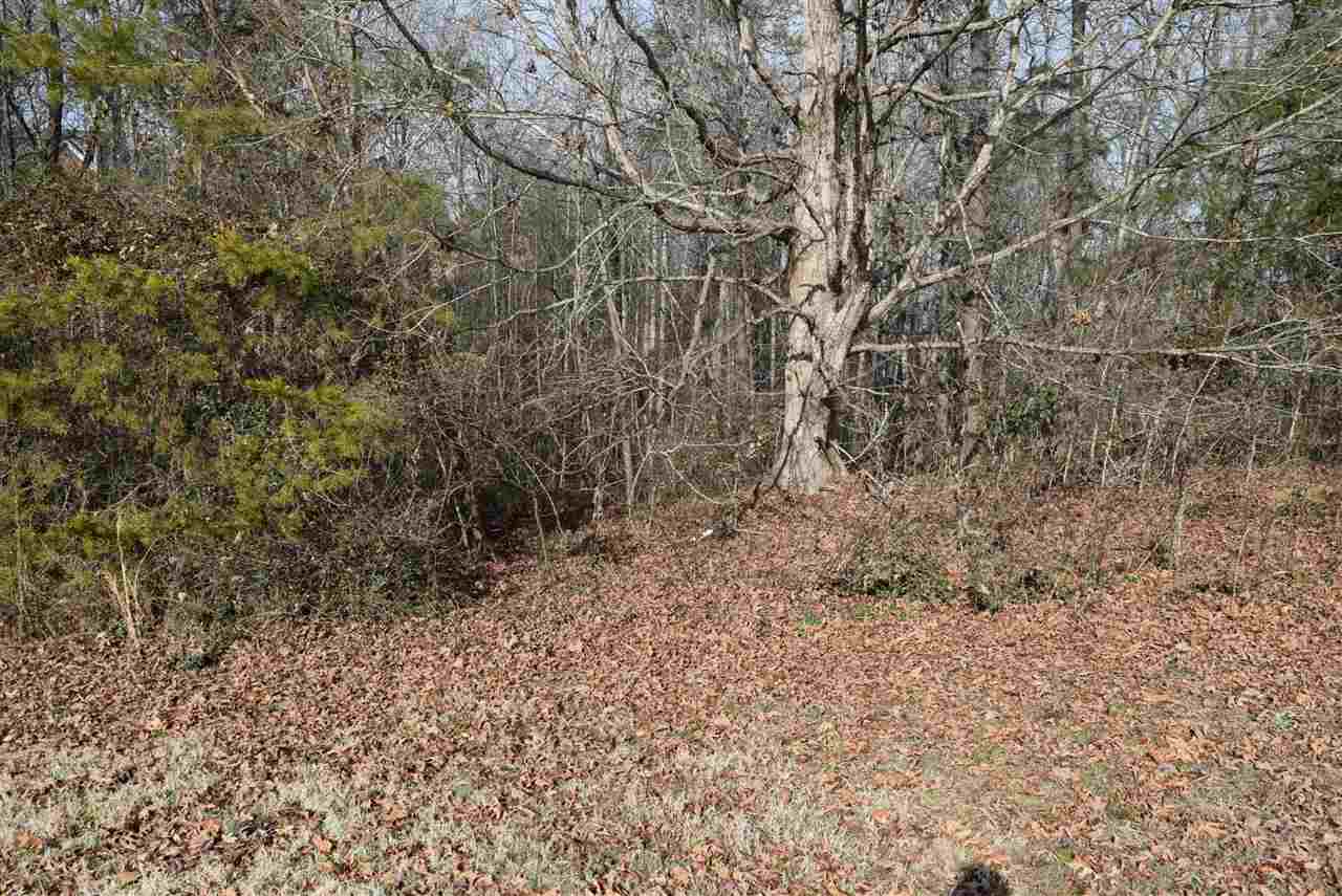 426 Tangleridge Court Inman, SC 29349 - Photo 6 of 8