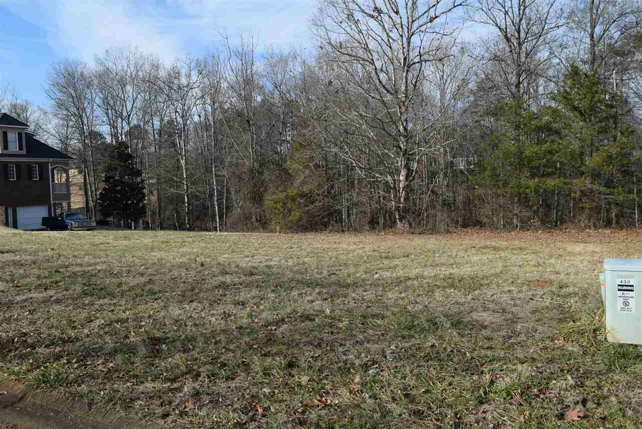 426 Tangleridge Court Inman, SC 29349 - Photo 7 of 8