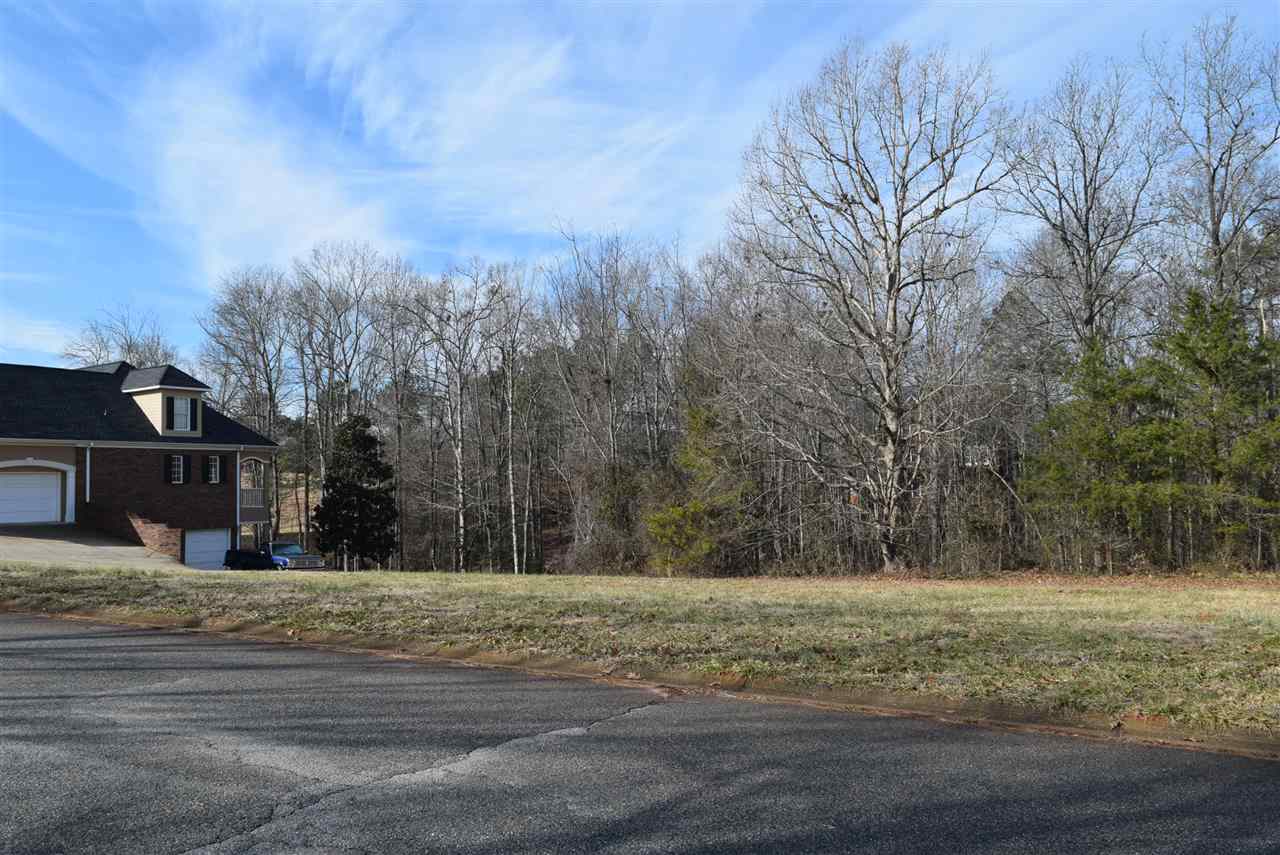 426 Tangleridge Court Inman, SC 29349 - Photo 8 of 8