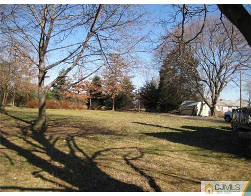 346 Ridge Road Dayton, NJ 08810 - Photo 10 of 12 a view of yard with large tree