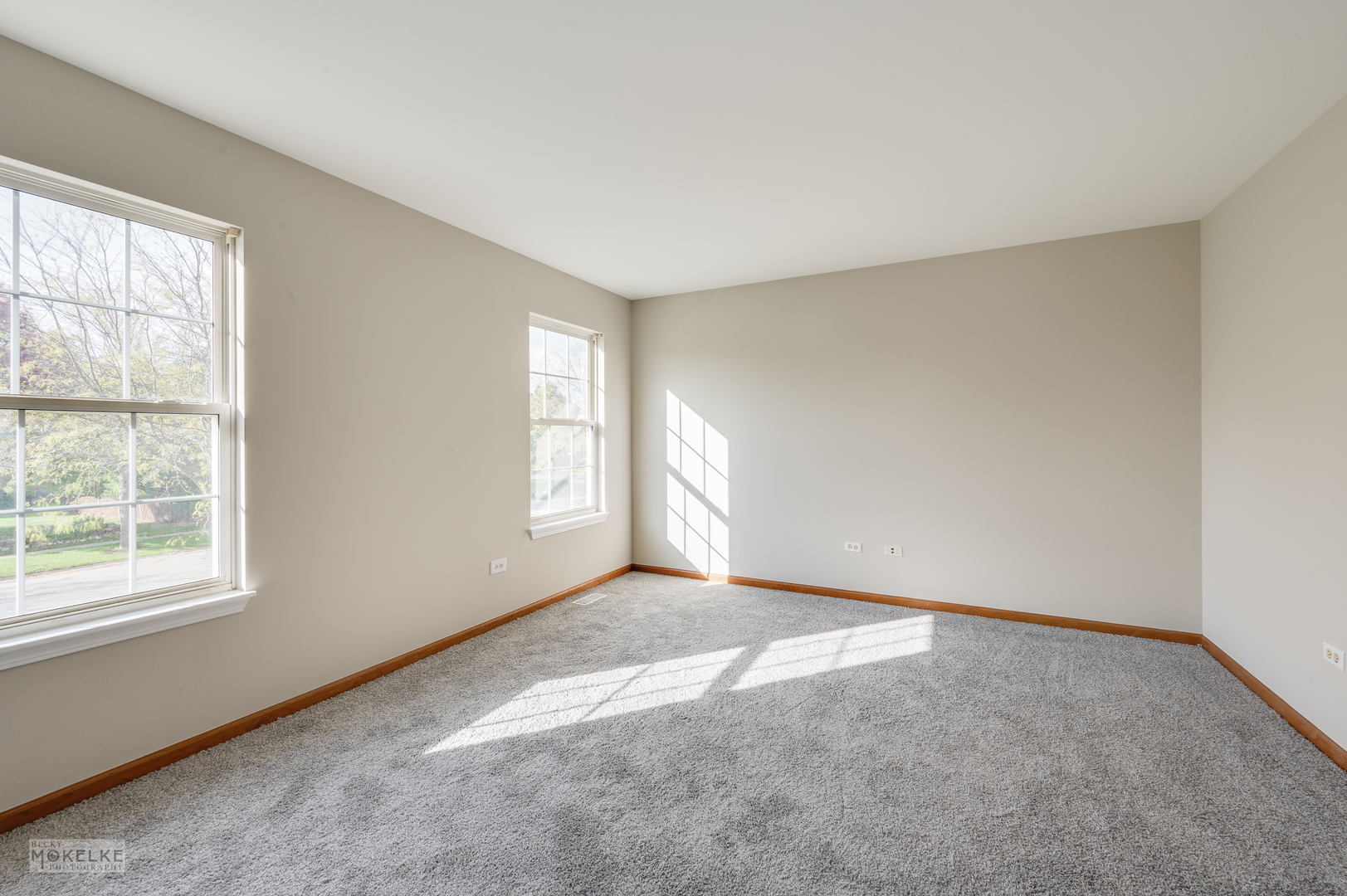 4401 Cummins Street Plano, IL 60545 - Photo 13 of 22 an empty room with windows