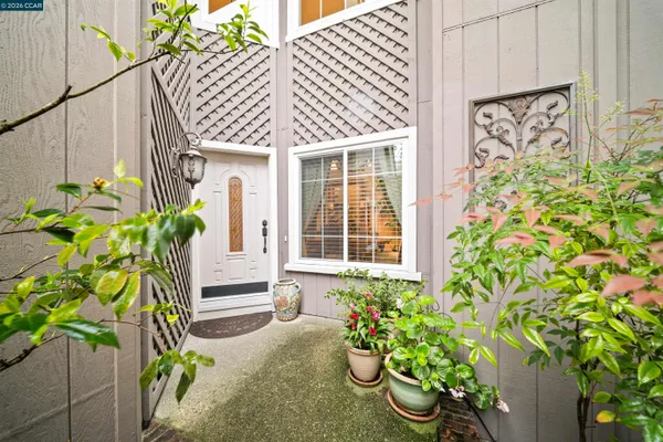 a potted plant sitting in front of a house