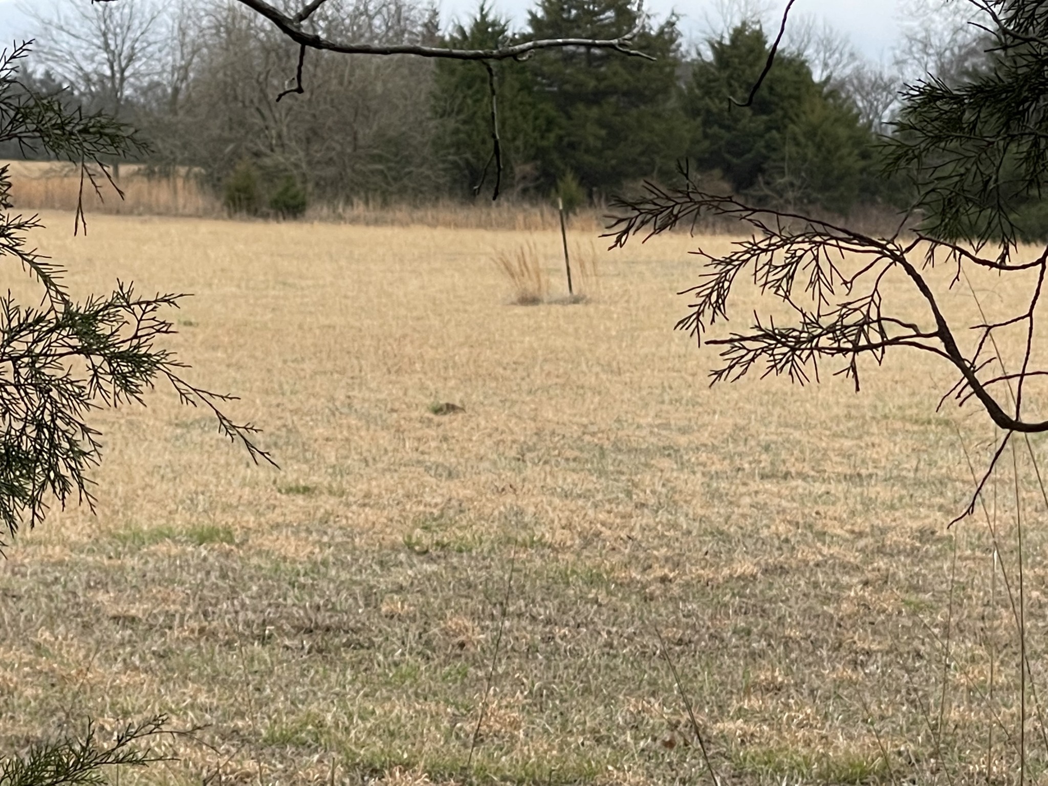 7 Parsons Road Christiana, TN 37037 - Photo 6 of 6 Gallery Image 6