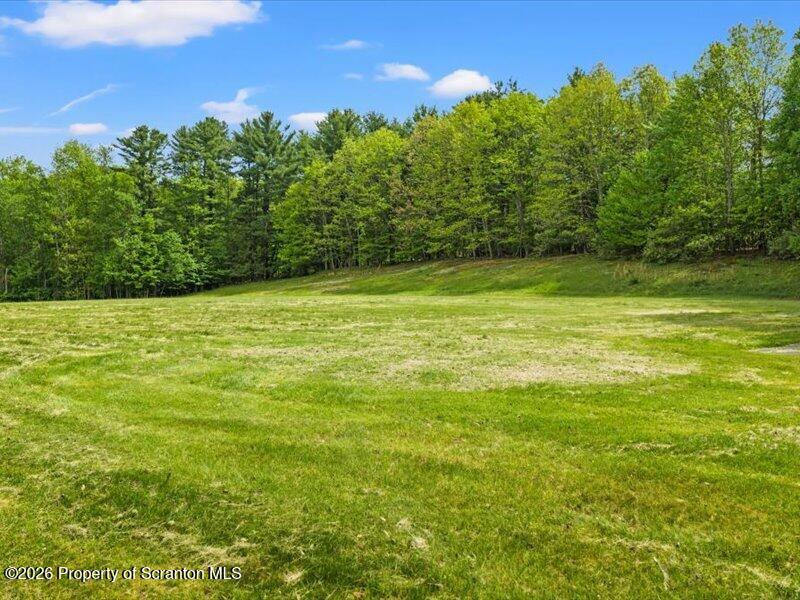 9-17 Vago Road Tunkhannock, PA 18657 - Photo 54 of 57 a view of a green yard