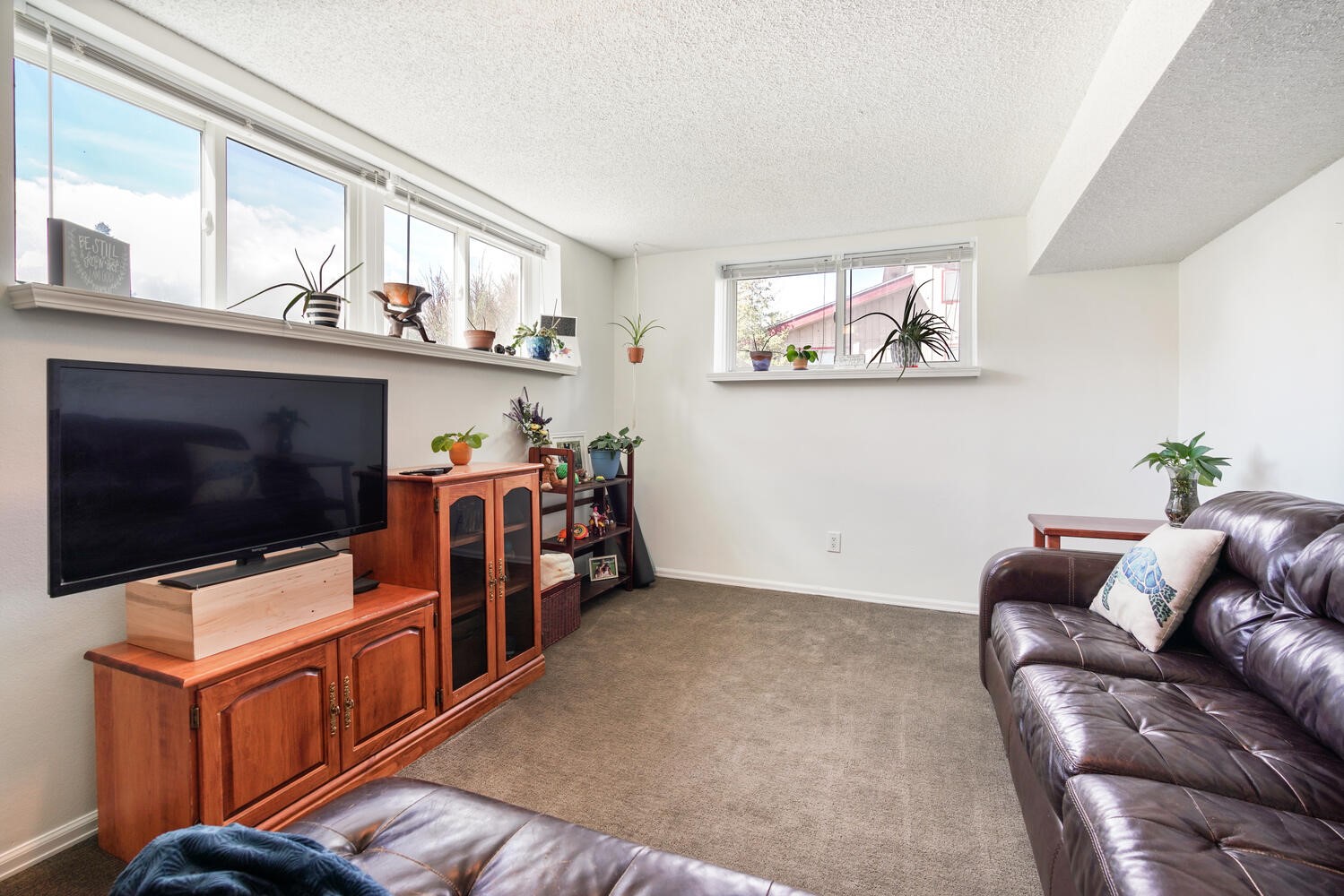273 Big Elk Road Dillon, CO 80435 - Photo 21 of 38 2nd Living Area Downstairs