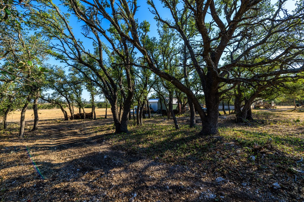 368 Oak Road Harper, TX 78631 - Photo 34 of 34 Gallery Image 34