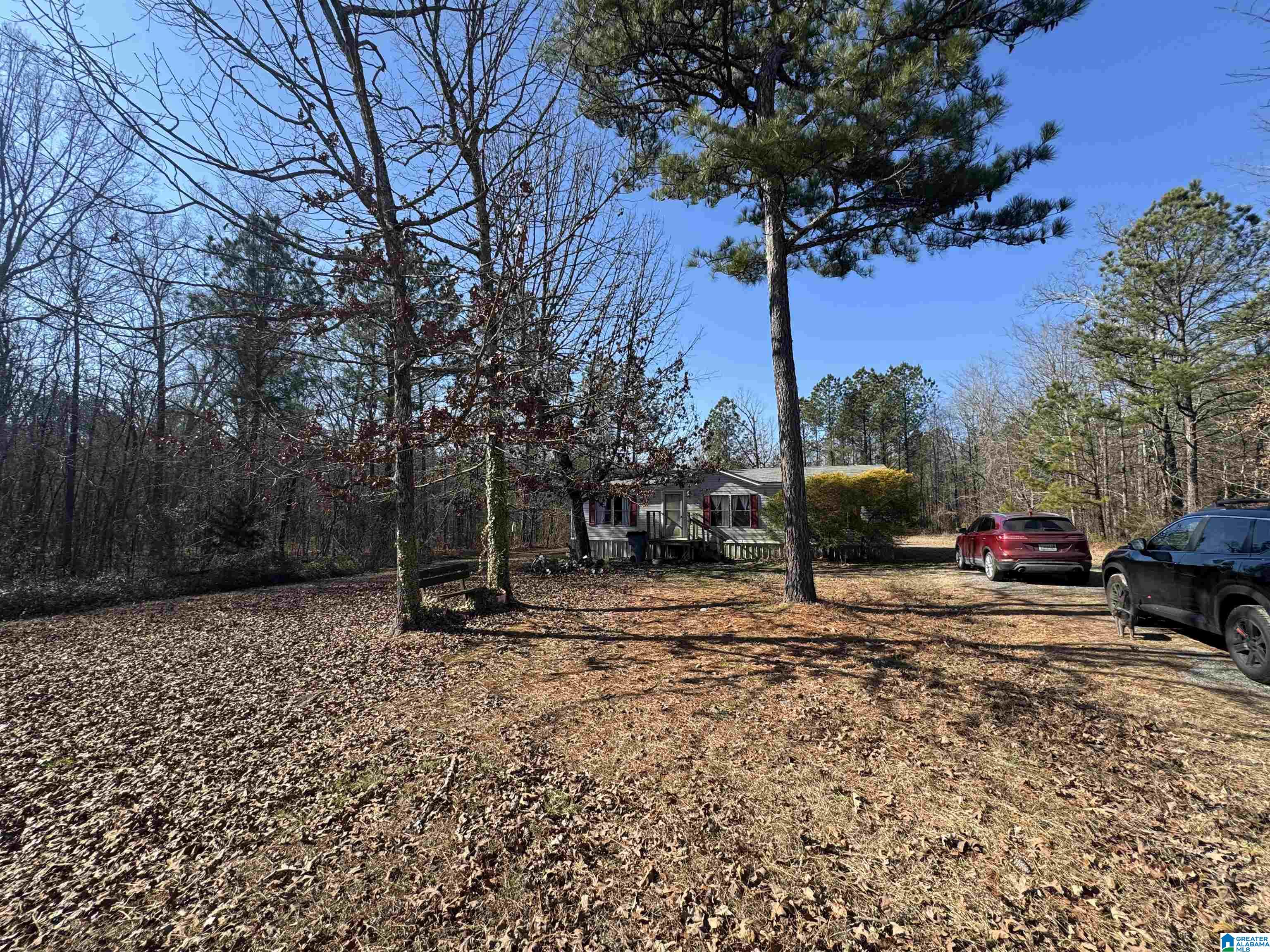 4920 Deer Run Road Cedar Bluff, AL 35959 - Photo 11 of 13