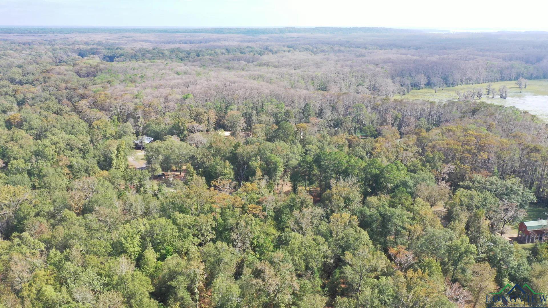0 Jackson Arms Road Karnack, TX 75661 - Photo 2 of 9 Gallery Image 2