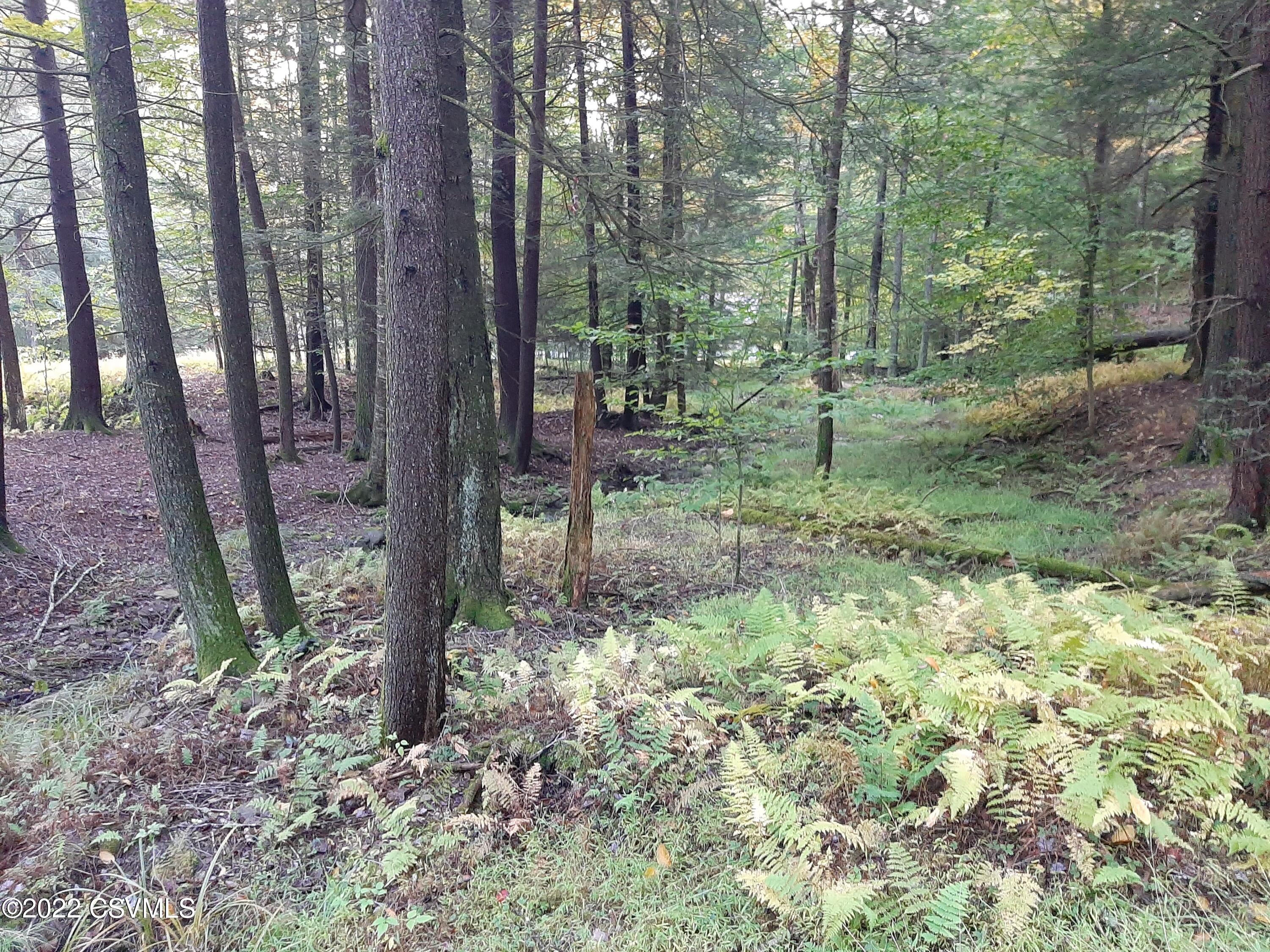 Elk Run Road Benton, PA 17814 - Photo 4 of 7 Gallery Image 4