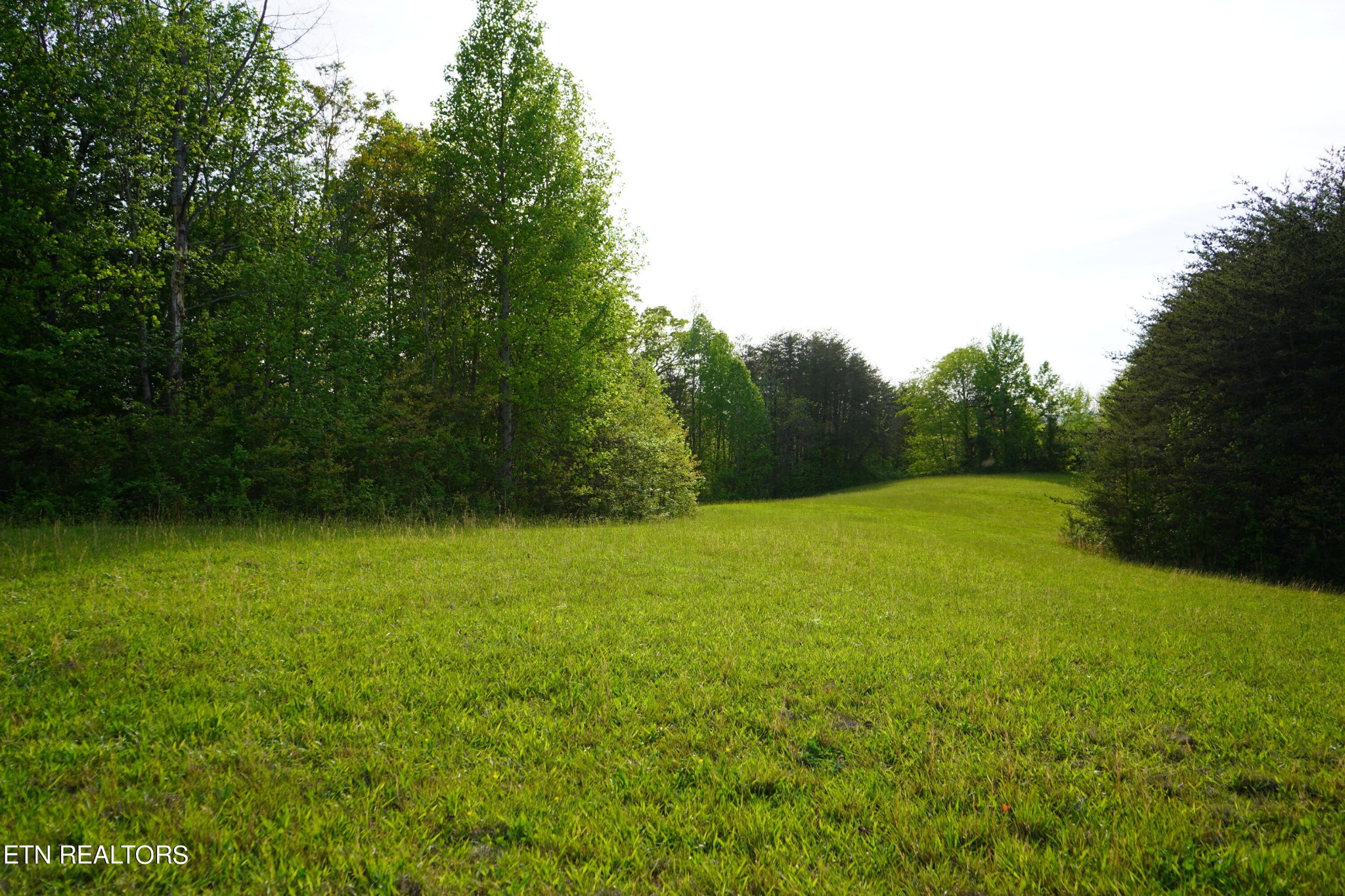 0 Pollard Road Walling, TN 38587 - Photo 14 of 26 Gallery Image 14