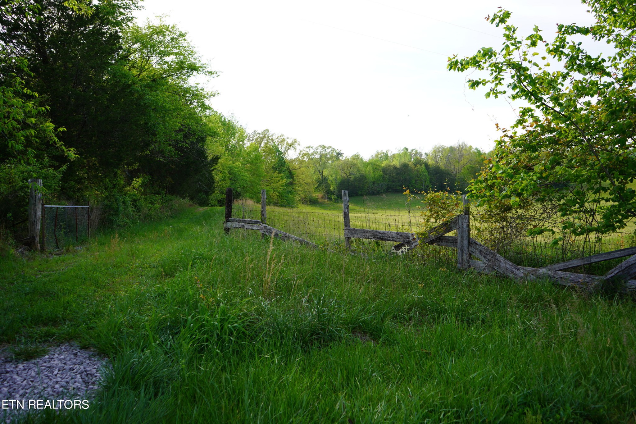 0 Pollard Road Walling, TN 38587 - Photo 16 of 26 Gallery Image 16