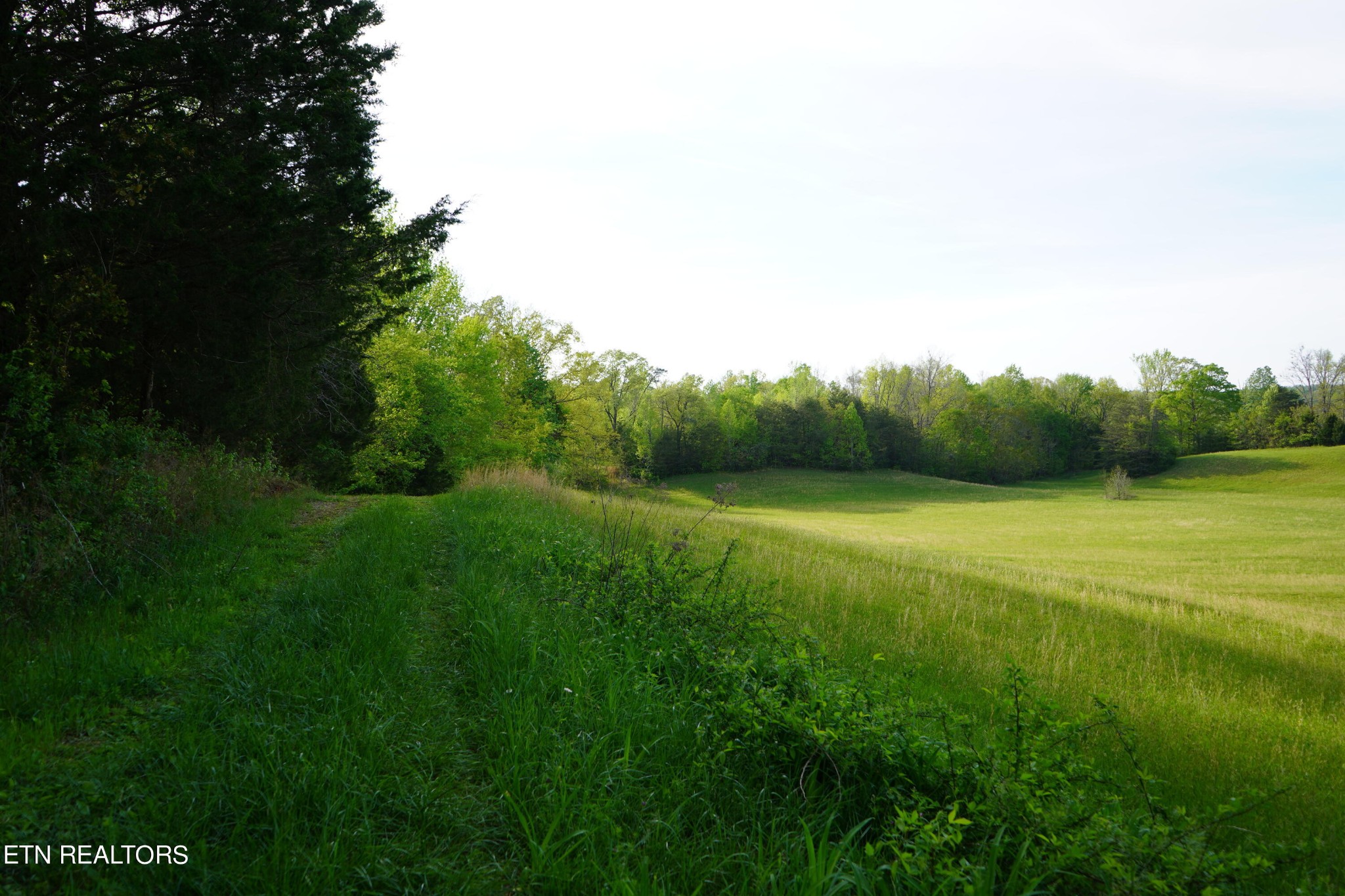 0 Pollard Road Walling, TN 38587 - Photo 17 of 26 Gallery Image 17