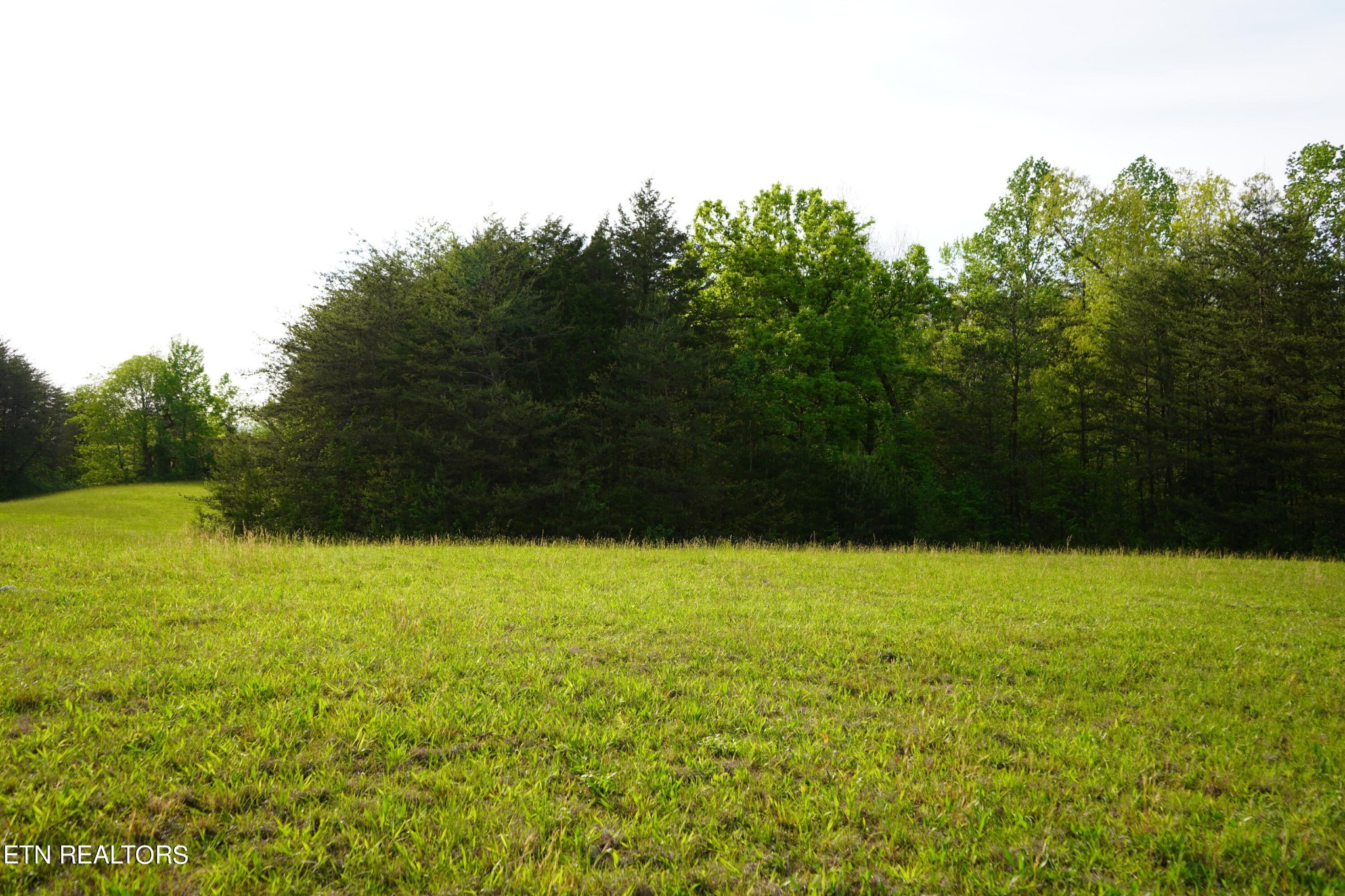 0 Pollard Road Walling, TN 38587 - Photo 22 of 26 Gallery Image 22