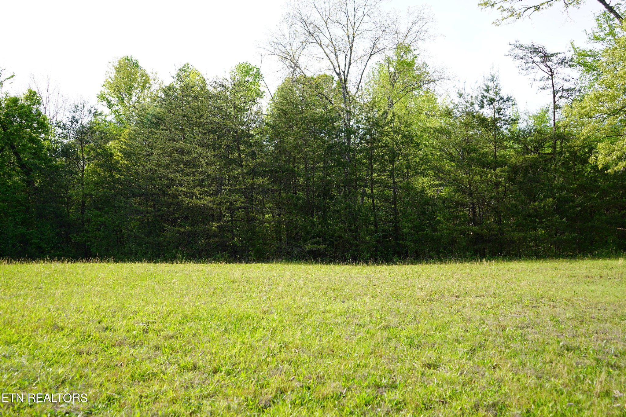 0 Pollard Road Walling, TN 38587 - Photo 23 of 26 Gallery Image 23