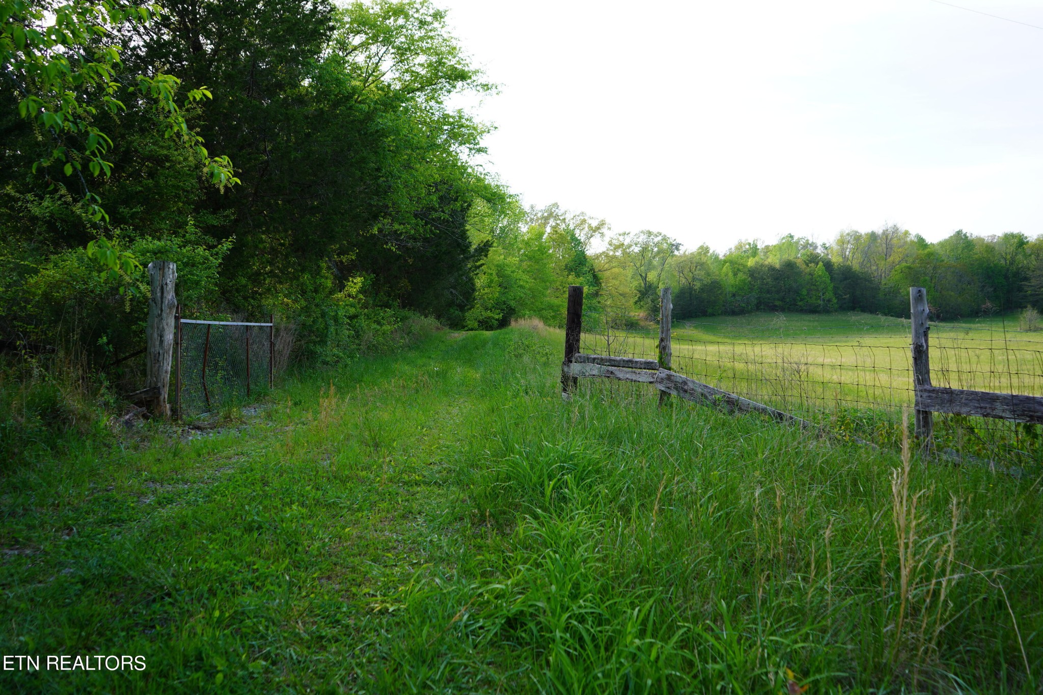 0 Pollard Road Walling, TN 38587 - Photo 3 of 26 Gallery Image 3