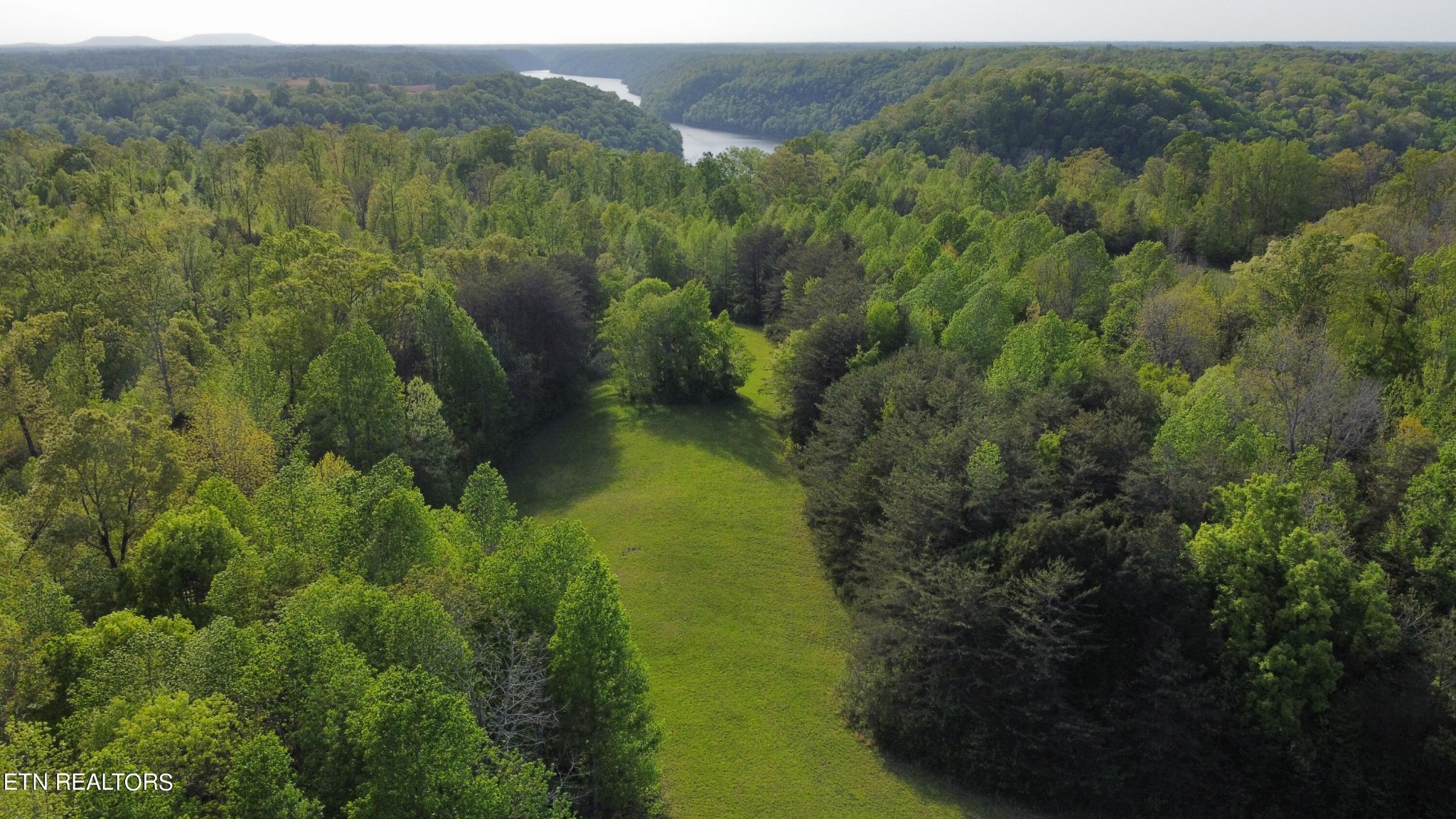 0 Pollard Road Walling, TN 38587 - Photo 7 of 26 Gallery Image 7