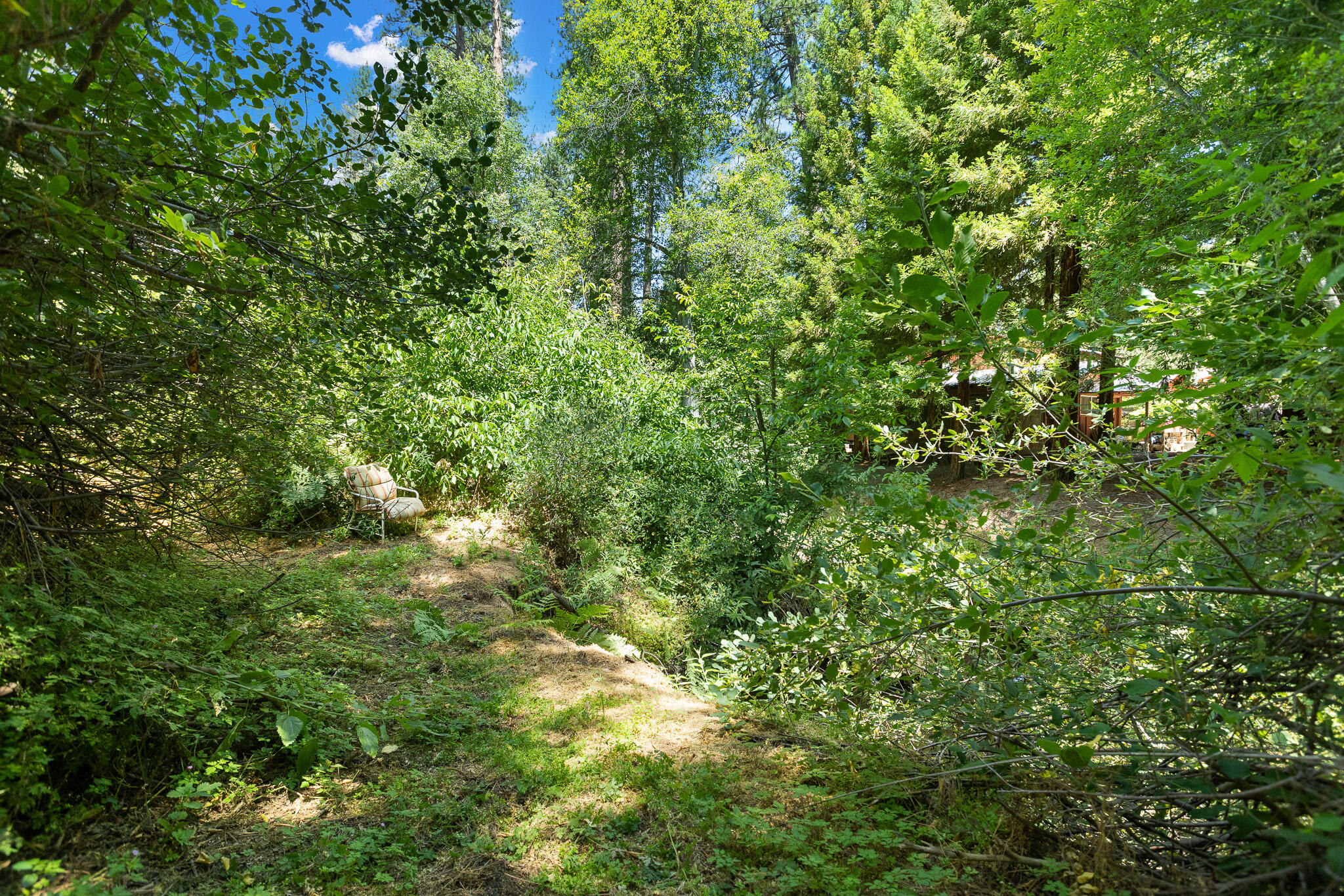45000 Manter Meadow Road California Hot Springs, CA 93207 - Photo 6 of 38 61 Property
