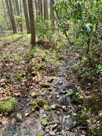 $529,000 | 298 Braxton Ridge Road, Amherst, VA 24521