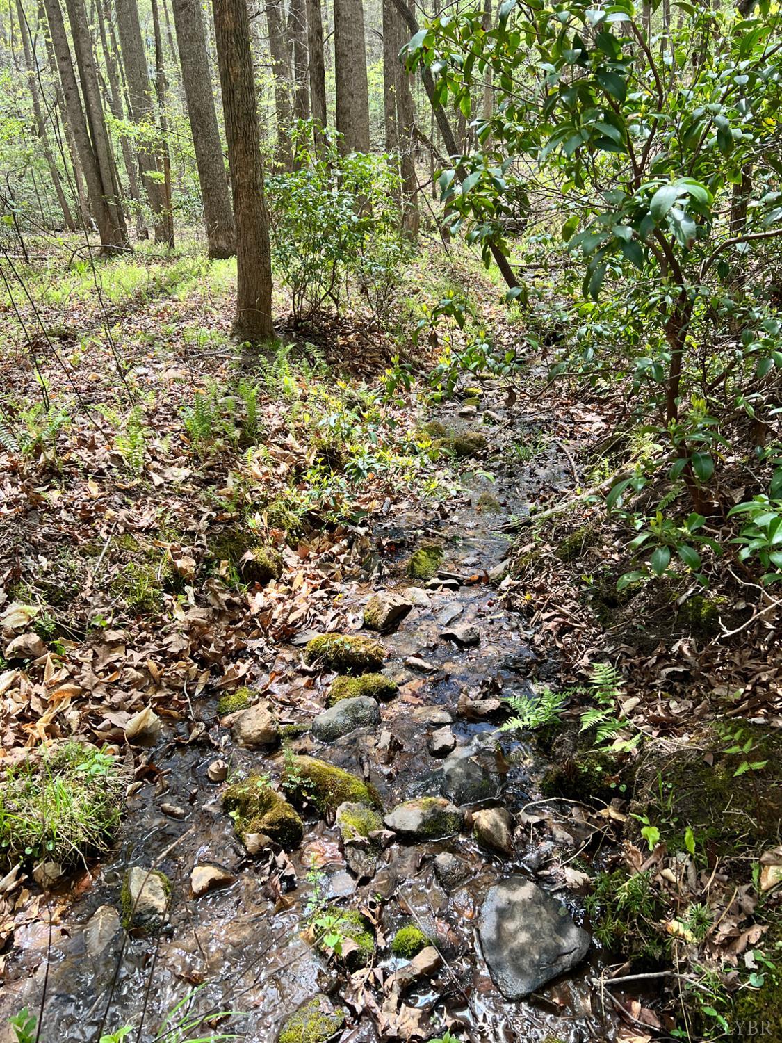 298 Braxton Ridge Road Amherst, VA 24521 - Photo 54 of 56