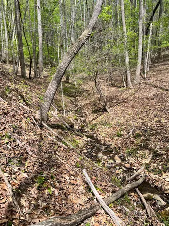 $529,000 | 298 Braxton Ridge Road, Amherst, VA 24521