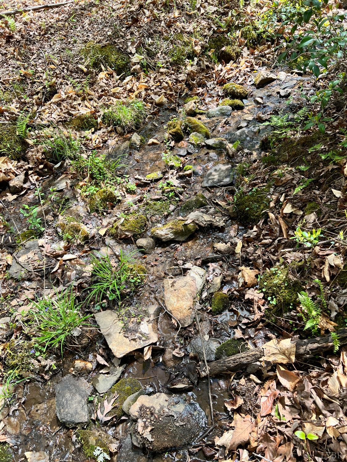 298 Braxton Ridge Road Amherst, VA 24521 - Photo 56 of 56