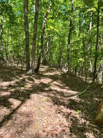 $529,000 | 298 Braxton Ridge Road, Amherst, VA 24521