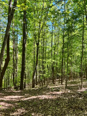 $529,000 | 298 Braxton Ridge Road, Amherst, VA 24521