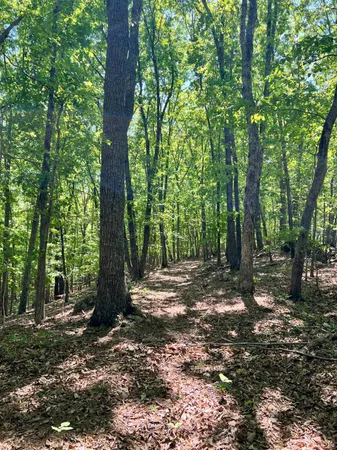 $529,000 | 298 Braxton Ridge Road, Amherst, VA 24521