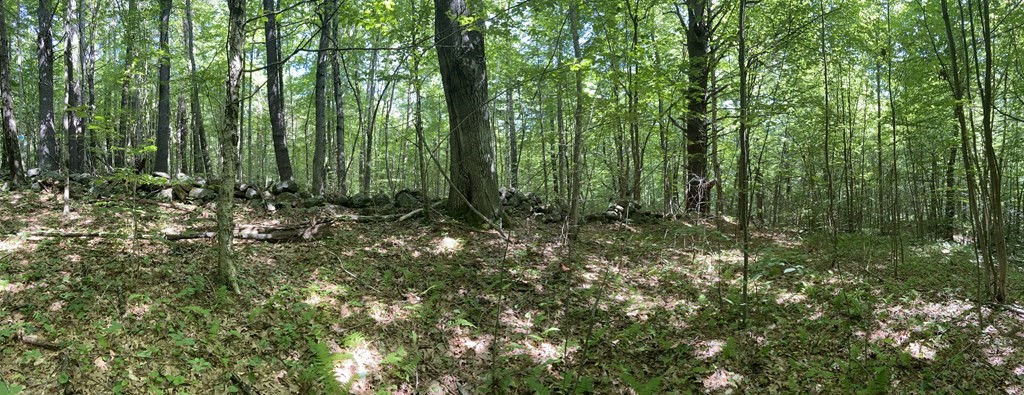 42 Mile Road Hubbardston, MA 01452 - Photo 2 of 6 a view of outdoor space with lots of green trees