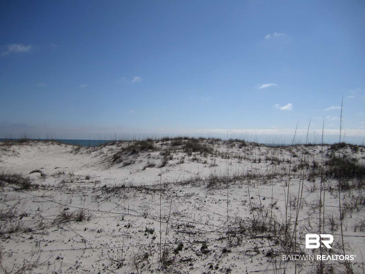 Brandt Lane Gulf Shores, AL 36542 - Photo 8 of 22 View of Lot