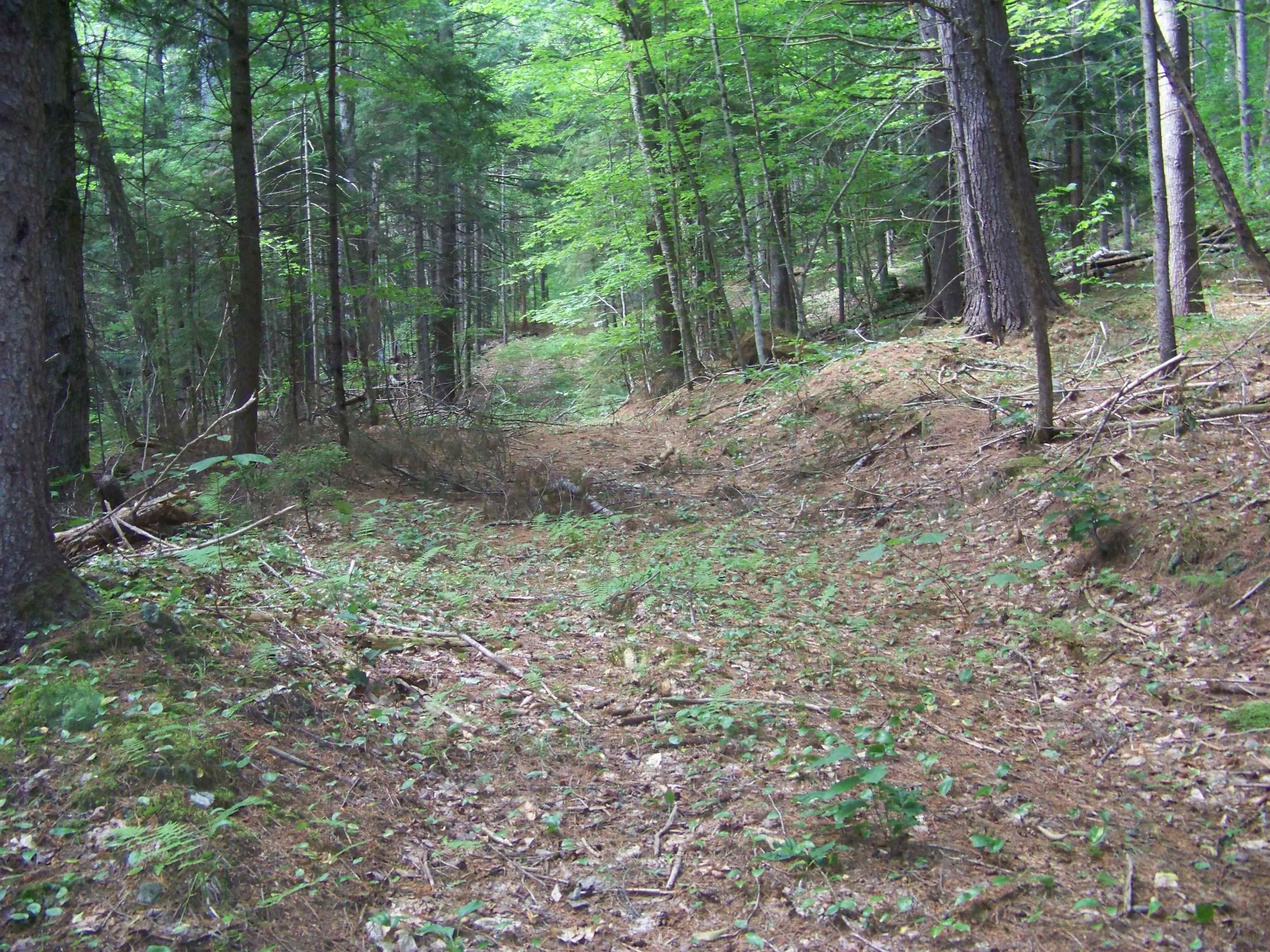 1003 Quarry Hill Road Rochester, VT 05767 - Photo 1 of 3