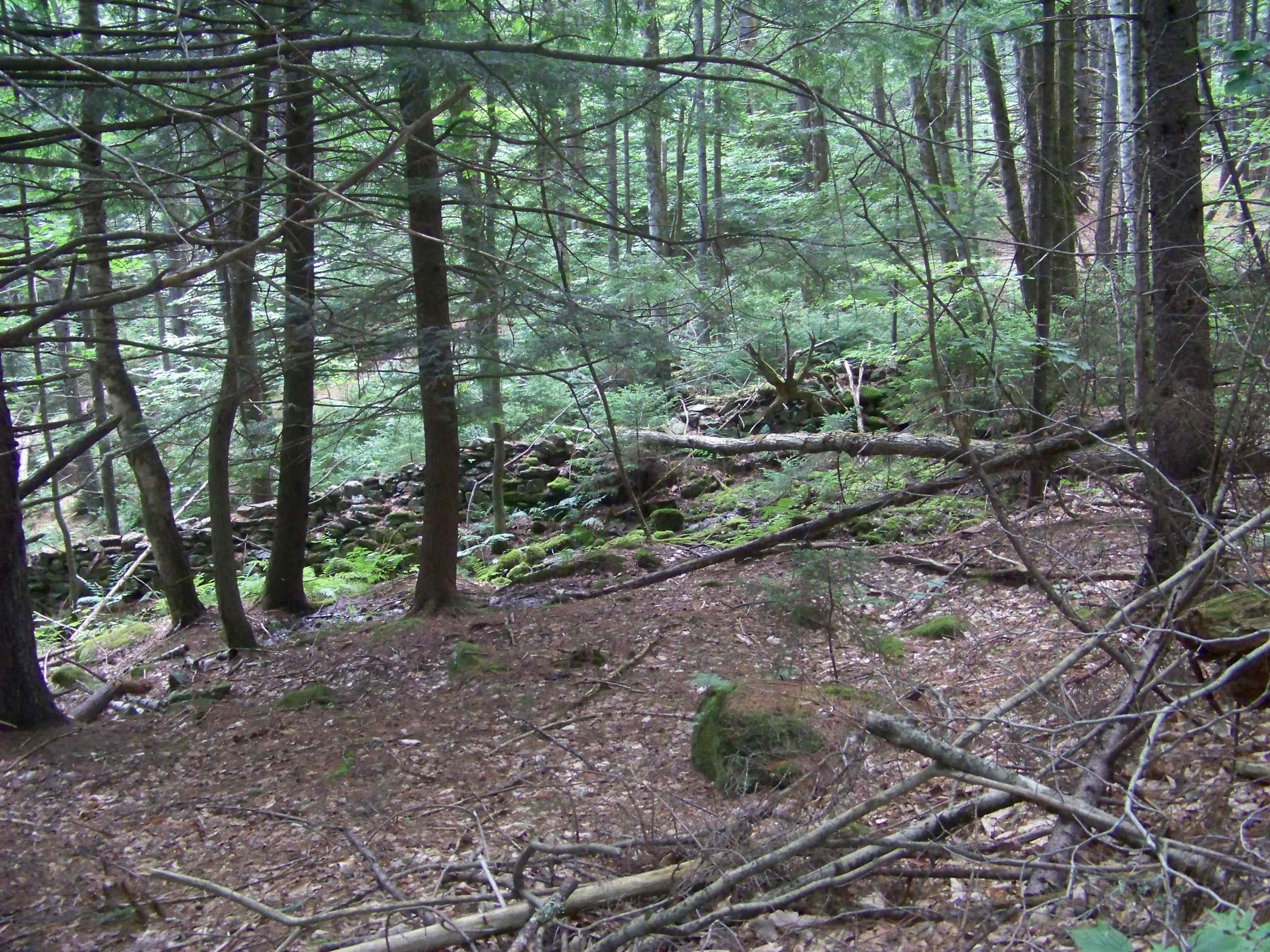 1003 Quarry Hill Road Rochester, VT 05767 - Photo 2 of 3