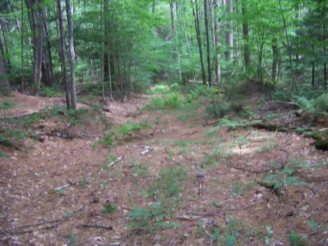 $59,000 | 1003 Quarry Hill Road, Rochester, VT 05767