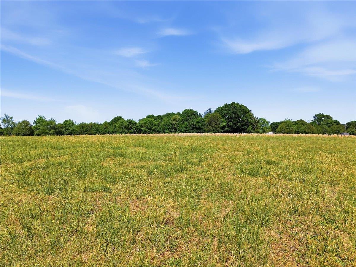 0 Berry Road Boiling Springs, SC 29316 - Photo 9 of 13