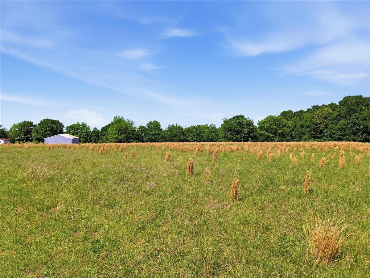 0 Berry Road Boiling Springs, SC 29316 - Photo 10 of 13