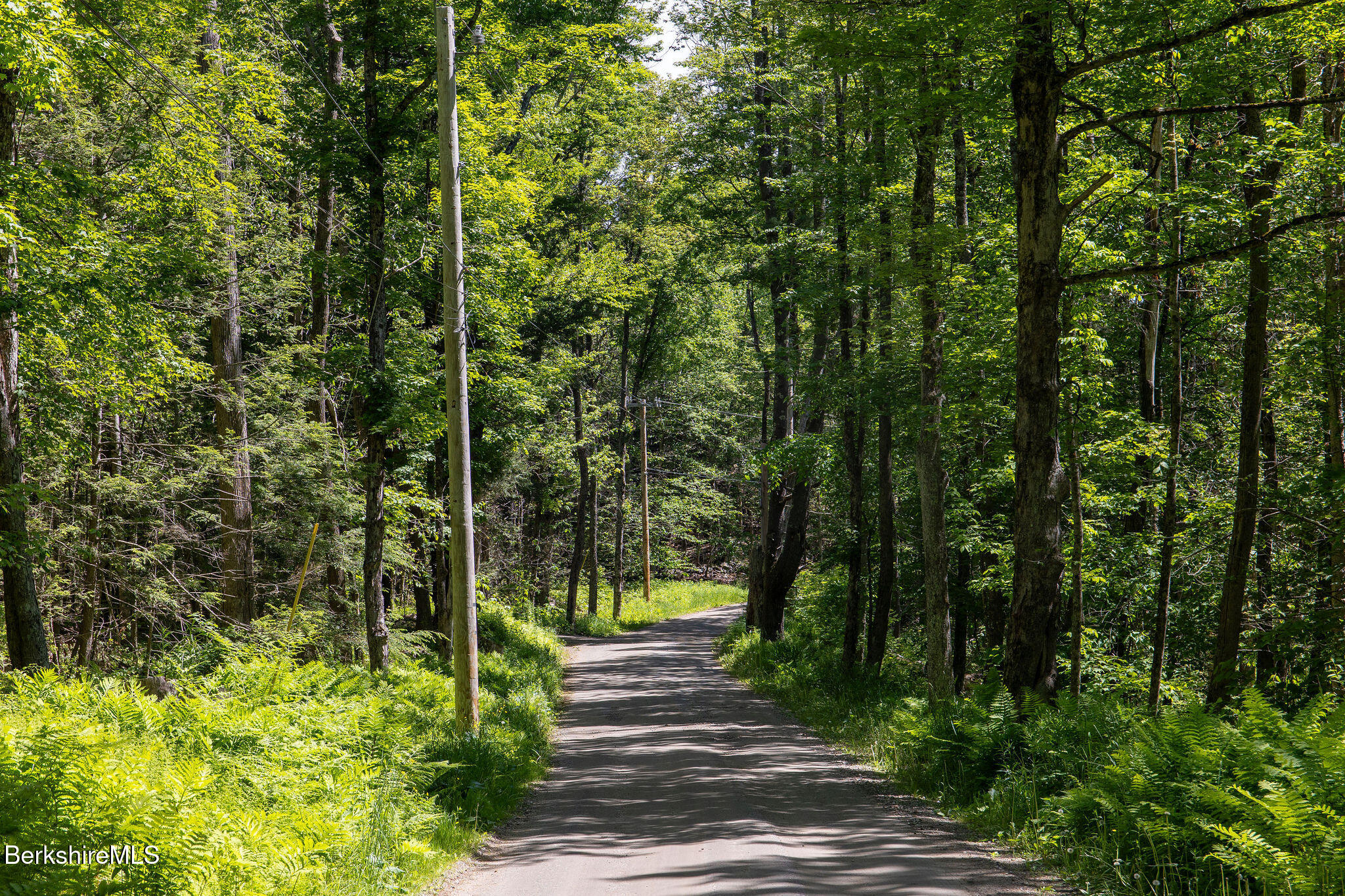 0 Indian Oven Road Worthington, MA 01098 - Photo 3 of 6 0001