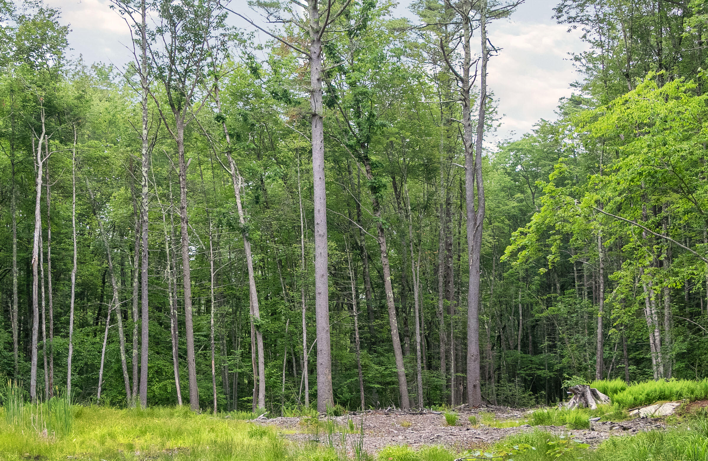 0 Coles Hill Road Wells, ME 04090 - Photo 1 of 4 Acreage