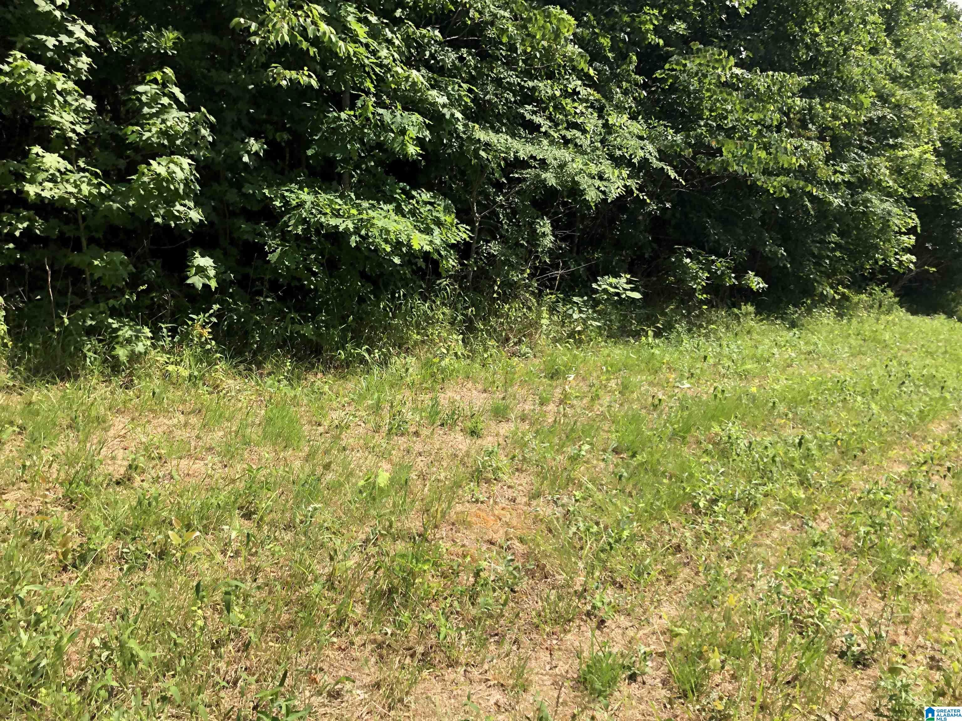 0 Peeks Hill Road, Unit 6 Ohatchee, AL 36271 - Photo 8 of 11