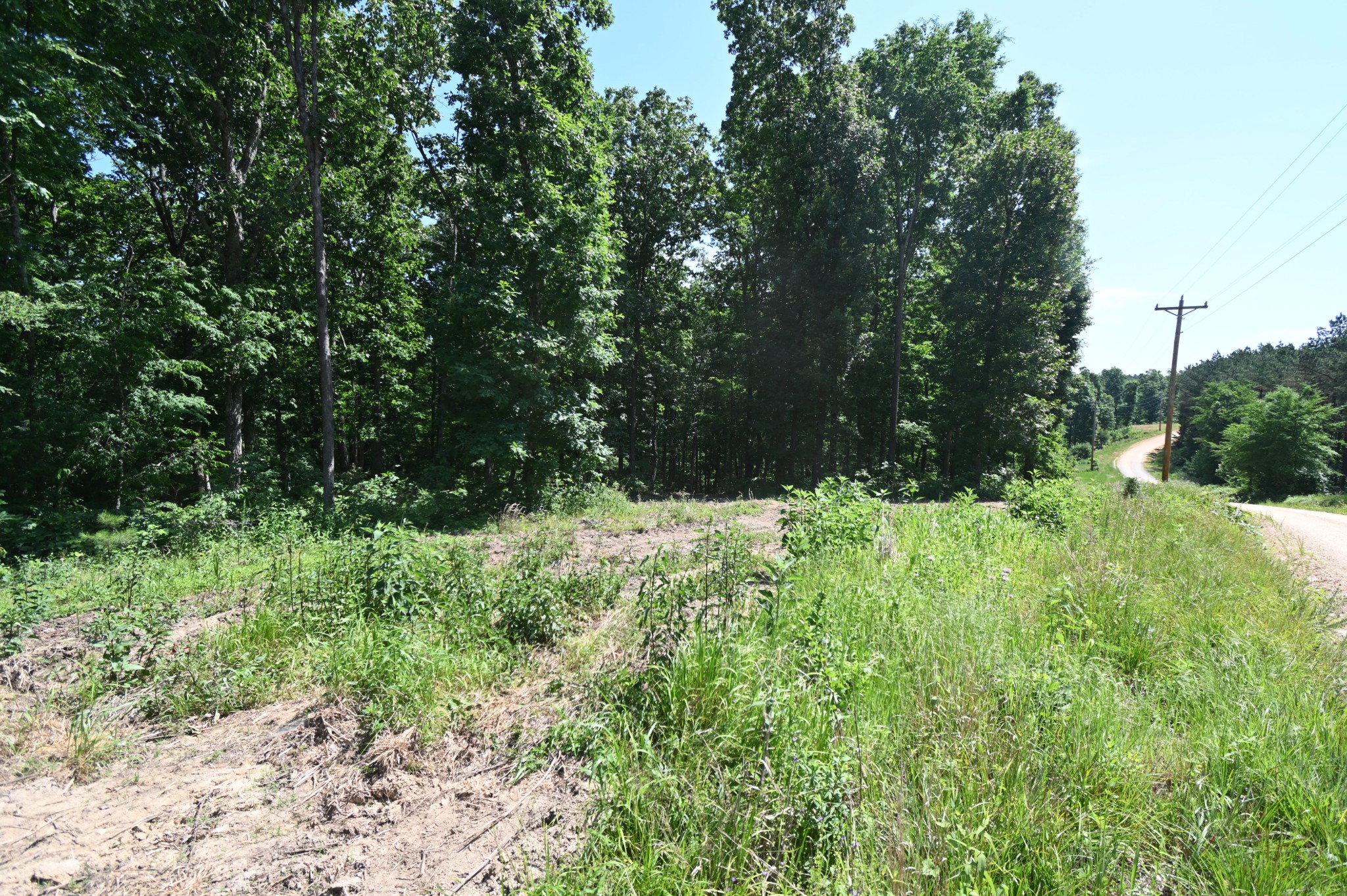 0 Bear Creek Road Waverly, TN 37185 - Photo 27 of 35 a view of outdoor space and green space