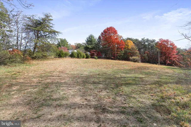 a big yard with trees in the background