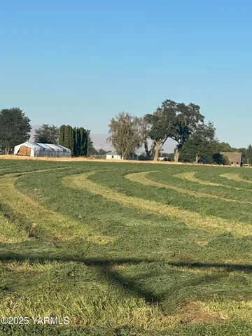 a view of an ocean from a yard