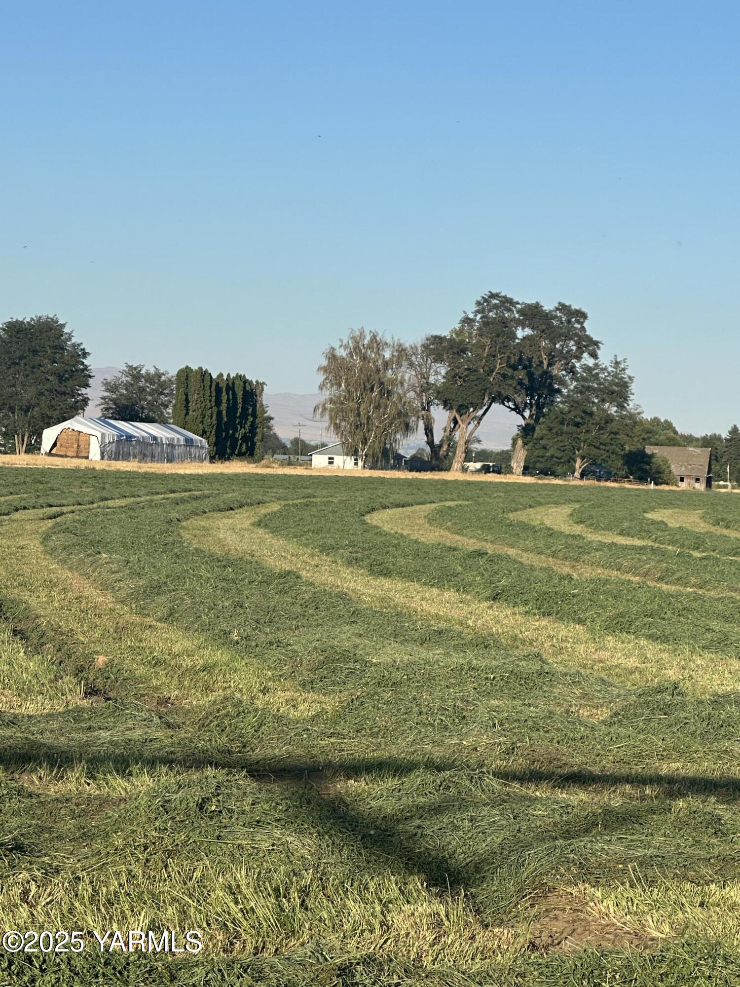 14530 Rutherford Road Yakima, WA 98903 - Photo 19 of 33 IMG_6917_1751929270746