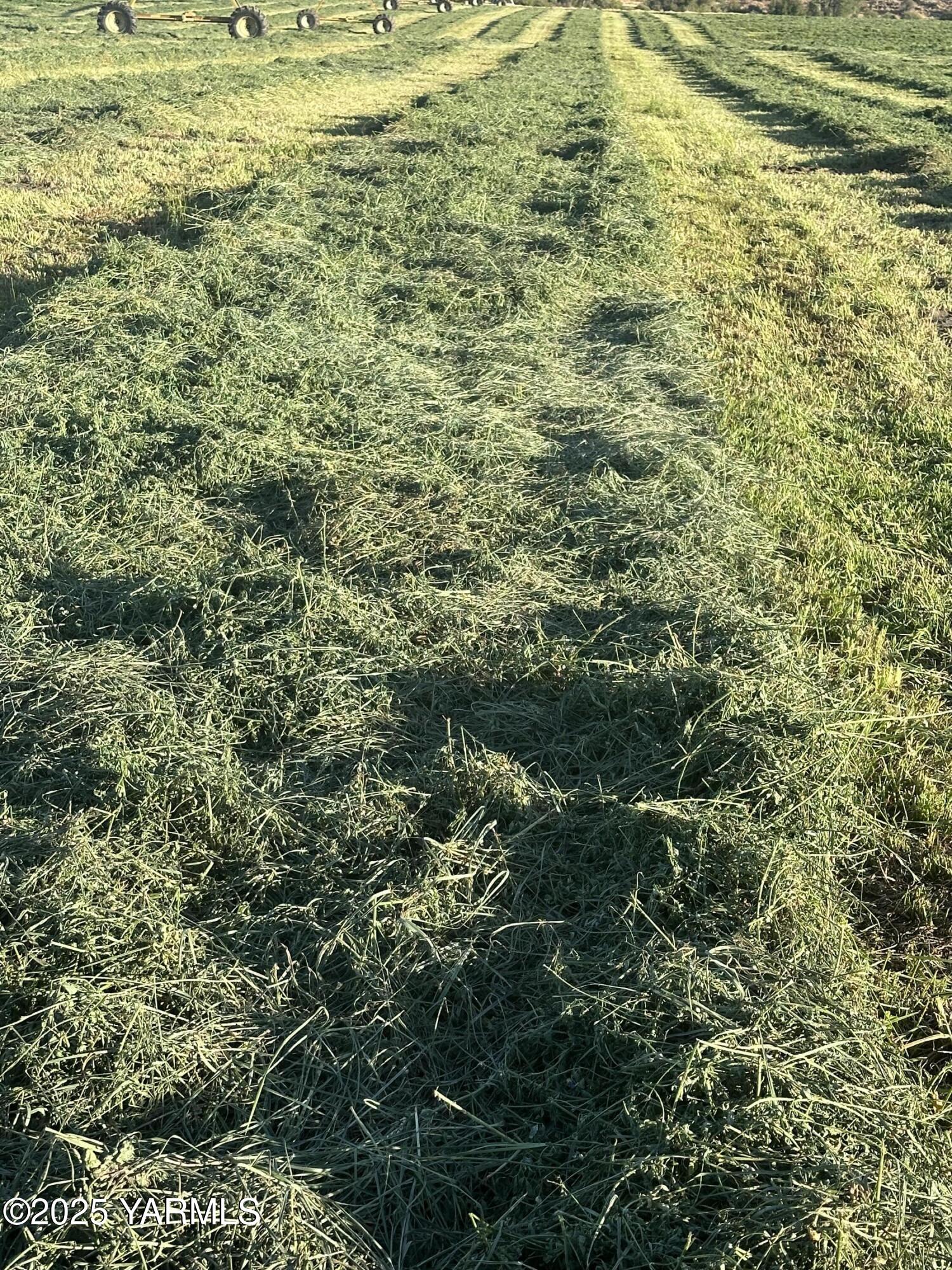 14530 Rutherford Road Yakima, WA 98903 - Photo 22 of 33 a view of a large body of water with a large tree