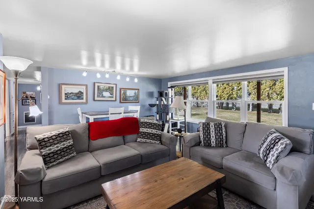 a living room with furniture and a potted plant