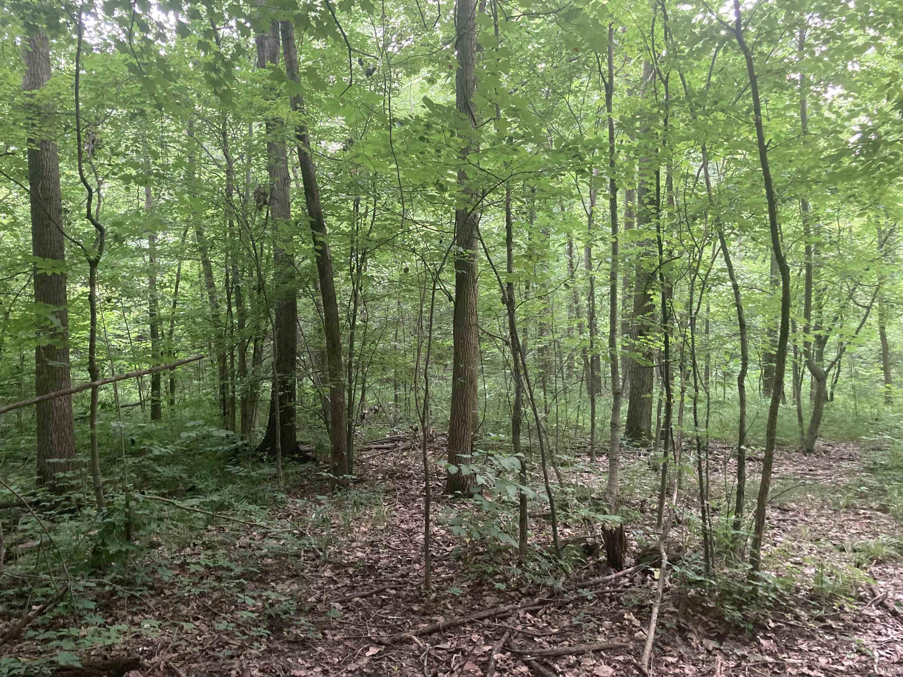 200 South E Road Portland, IN 47371 - Photo 4 of 9