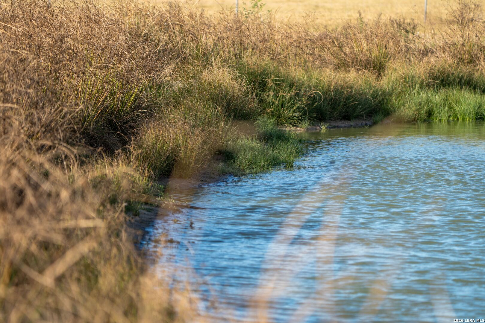 840 County Road 2250 Riviera, TX 78379 - Photo 18 of 45 a view of a yard with a tree