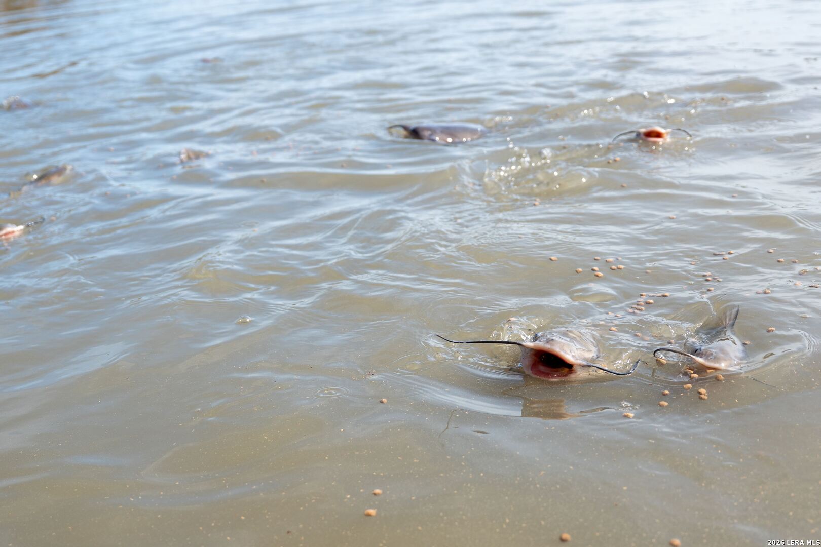 840 County Road 2250 Riviera, TX 78379 - Photo 19 of 45 a view of a terrace view